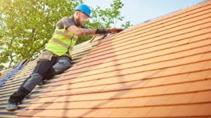 Best Roof Insulation Installation  in Tuntutuli, AK