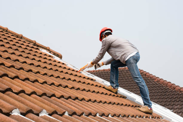 Best Asphalt Shingle Roofing  in Tuntutuli, AK